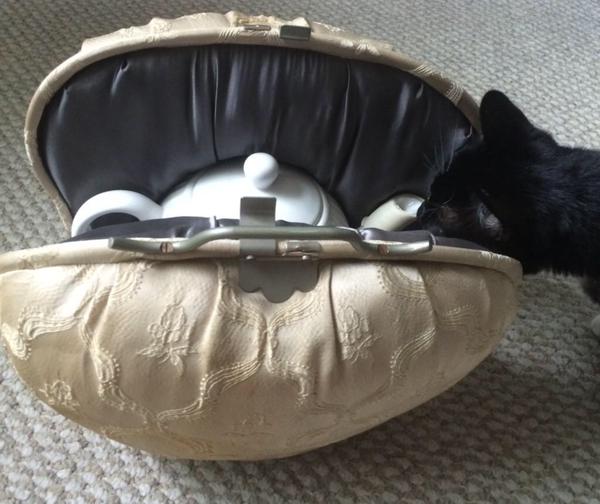 Teapot Carrier AKA the Carriage Cozy with Victorians On the Go