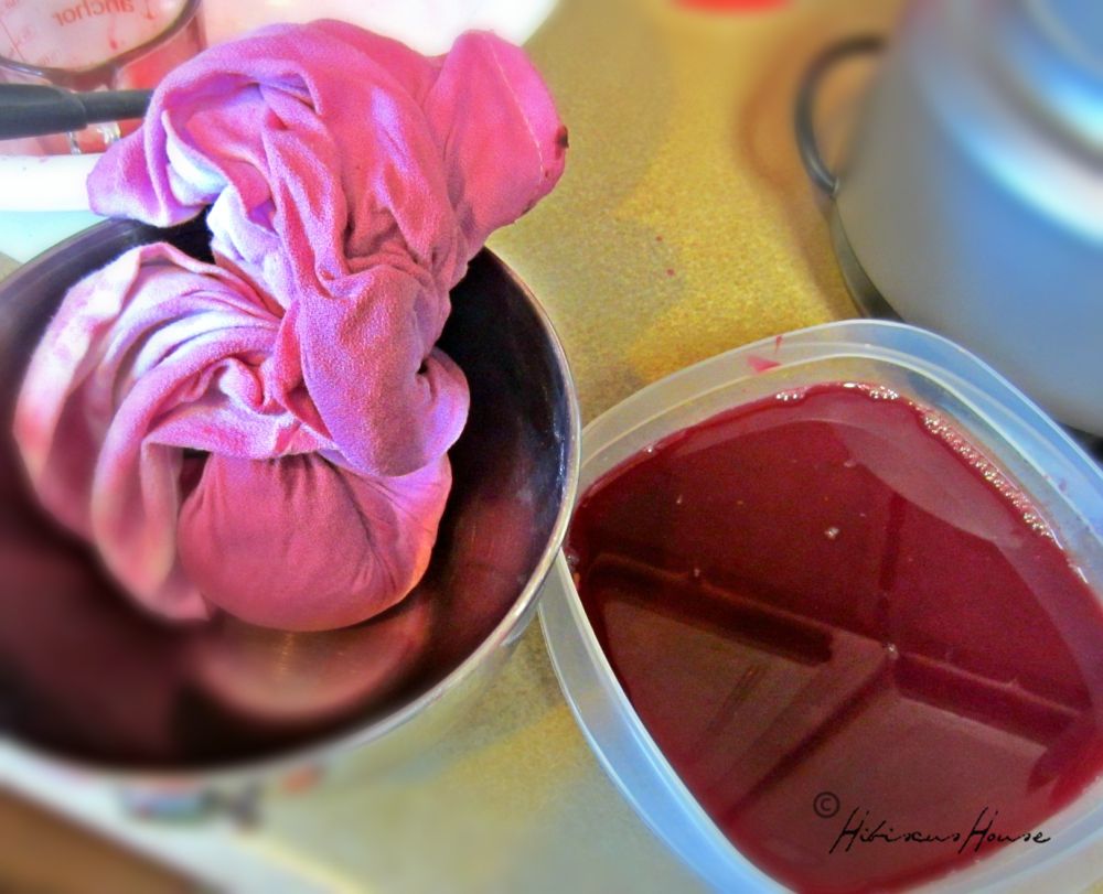 Hibiscus House Easy Way to Juice Fruits For Later Use