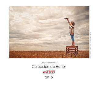 Obra en Colección de Honor fepfi 2015, autor galart fotografos