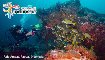 Menjelajahi Wisata Alam Indonesia Raja Ampat