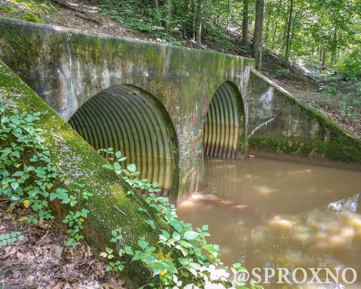 Woods of Wenonah Trail Pushing Myself