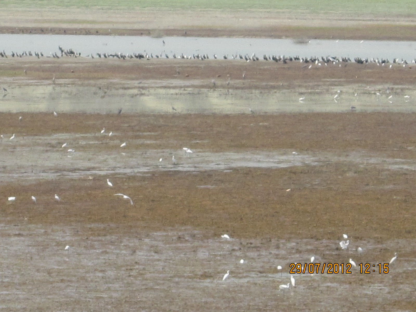 motosefer 28 temmuz2012abantmudurnunallıhanbeypazarı