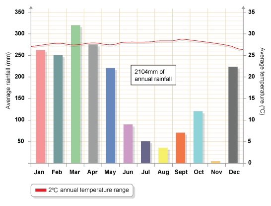 Rainforest Weather Chart