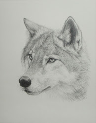 wolf drawing 3d drawings wolves draw drawn amazing sketch pencil face tattoo cool cartoon head animals wolfe three hard awesome