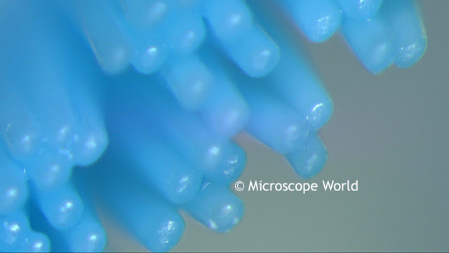 Microscope World image of a toothbrush captured at 40x.
