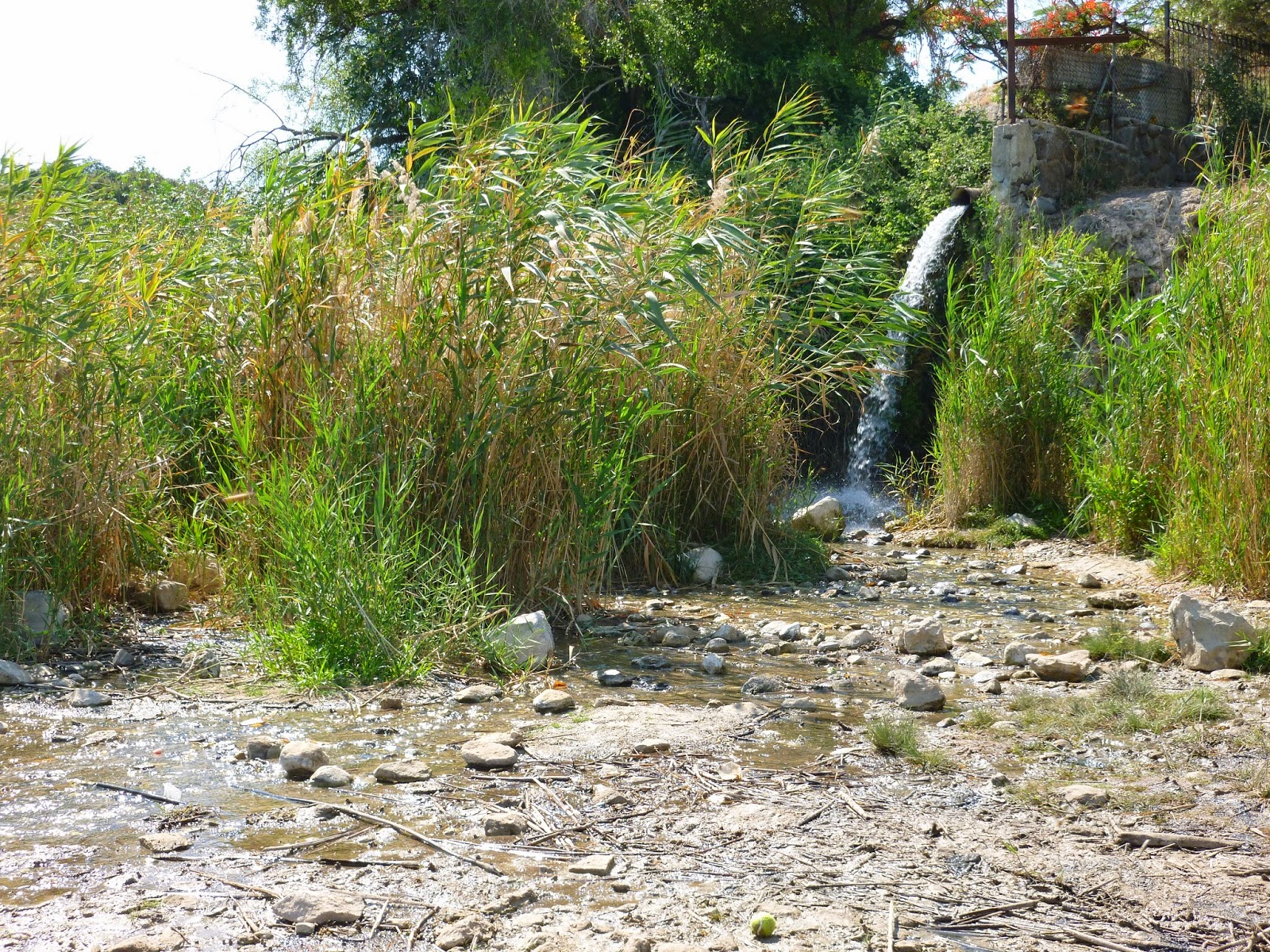 Hiking in Israel: June 14, Saturday - Hiking around the Galilee area