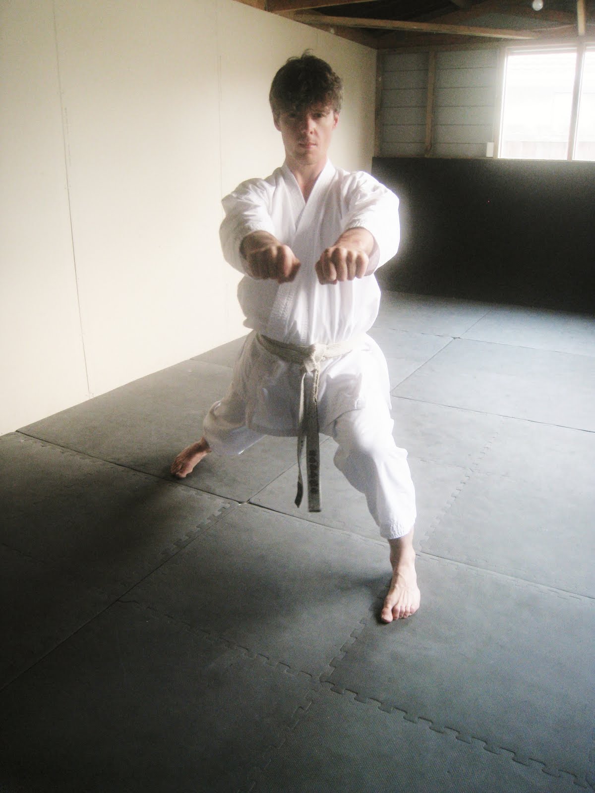 André Bertel's KarateDo TACIT KARATE