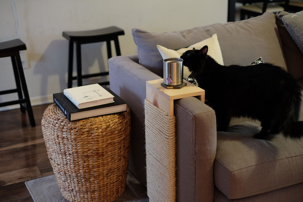 Ideias para proteger seu sofá dos gatos - 2 enjoy