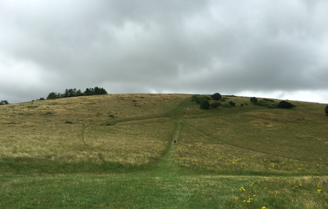 FitBits | Cycling the South Downs Way - Petersfield to Amberley - Beacon Hill FitBits | Cycling the South Downs Way - Petersfield to Amberley - Beacon Hill