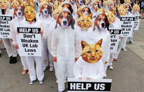 Day for Animals in Laboratories / Ημέρα Κατάργησης των Πειραμάτων σε Ζώα