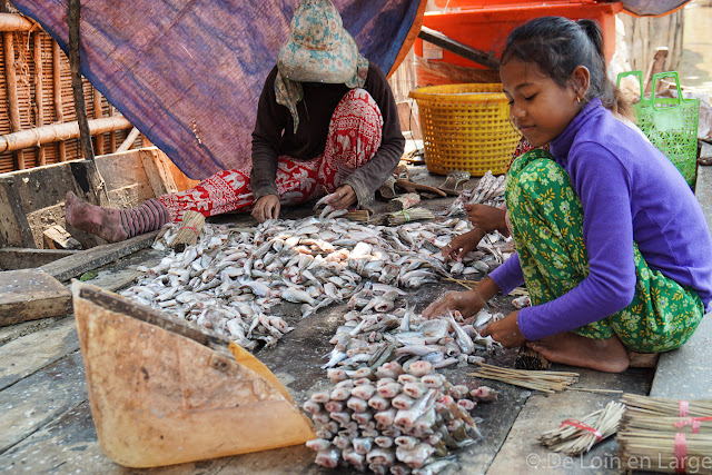 Kompong Khleang - Cambodge