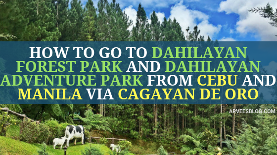 How to go to Dahilayan Forest Park from Cebu and Manila via Cagayan de Oro City