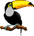 passaro_tucano.gif