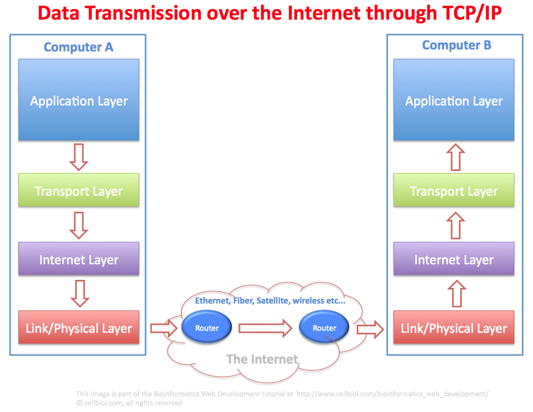 7 tcp ip. TCP/IP. Протокол TCP/IP. TCP IP transmission Control Protocol. Межсетевой уровень (Internet layer).