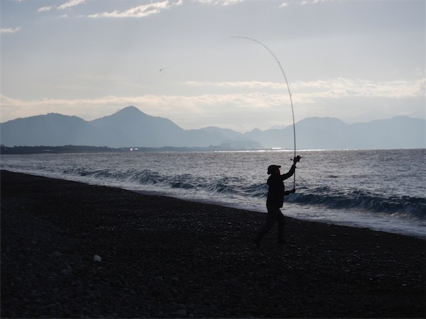 まこぶさ食堂 沼津千本浜でちょい釣り 柿田川へ行ってきました
