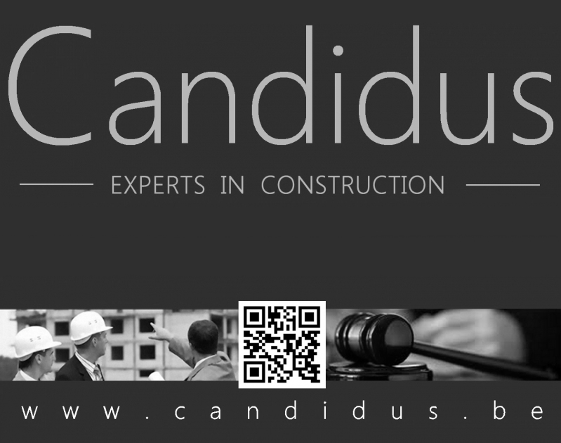 Candidus