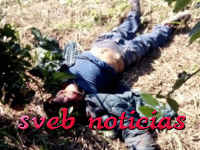 Hallan presunto ejecutado en Álamo Veracruz