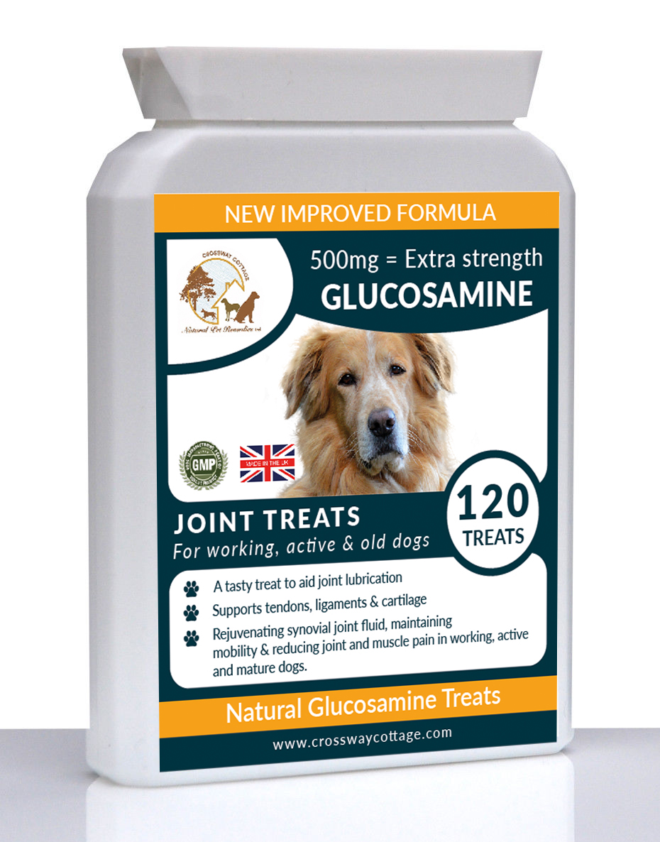 Glucosamine For Dog Arthritis Is It Safe?