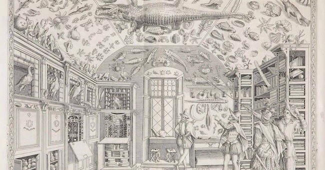 GABINETES DE CURIOSIDADES - arqpilar