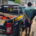 Homem é preso e vítimas liberadas após assalto a caminhão na BR 242
