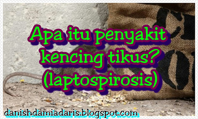 3D health beauty supplement: APA ITU PENYAKIT KENCING TIKUS (LAPTOSPIROSIS)