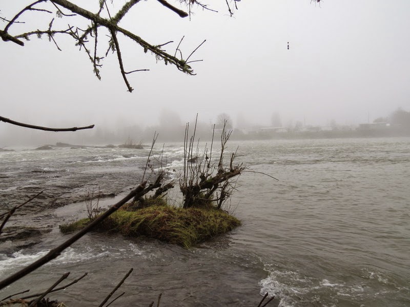 Photos by Jan Off D Street in Springfield,Oregon/Then Day Island Park