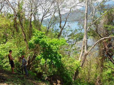 Laguna de Apoyo reforestation