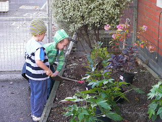 digging for victory in the school flowerbeds