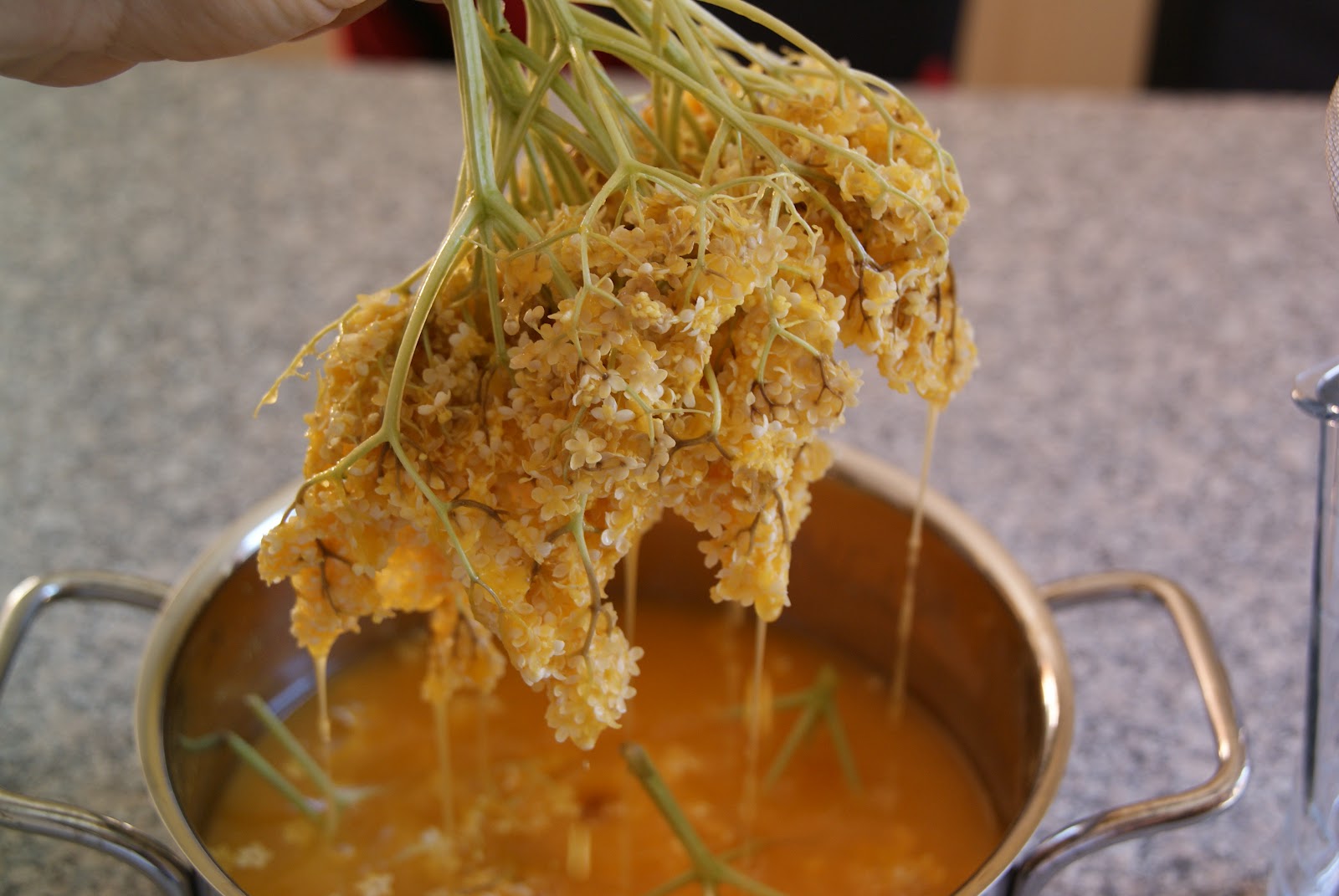 Holunderblüten-Orangen-Gelee