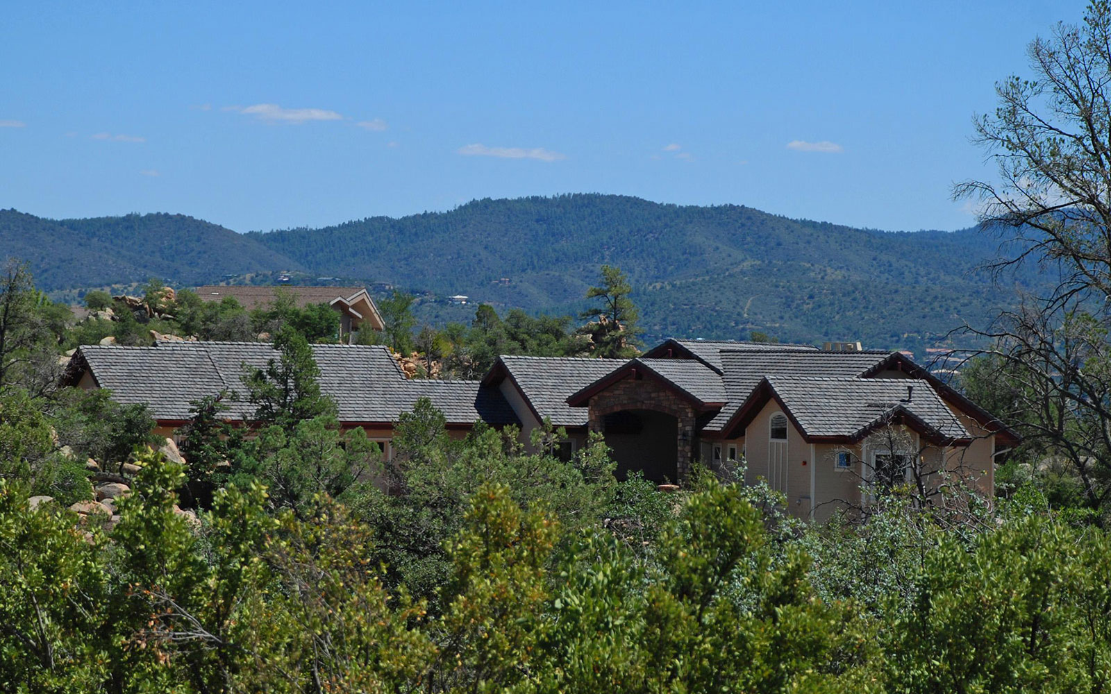 The Cutting Edge Team