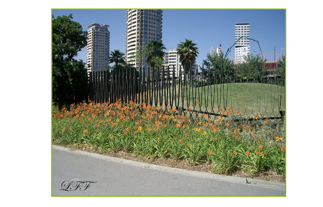 Pensando Jardines: Jardines para la Inspiración. PARQUE DIAGONAL MAR