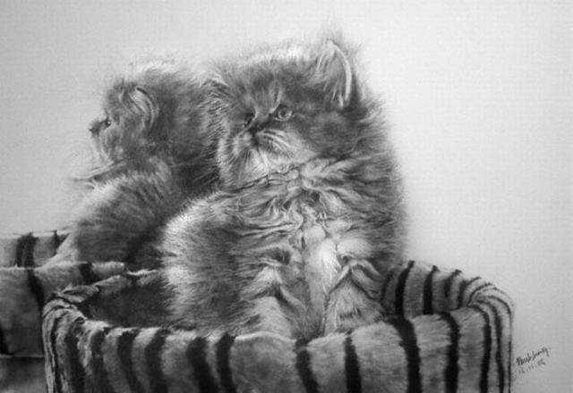 IAD Pencil Drawing Of Cute Cats