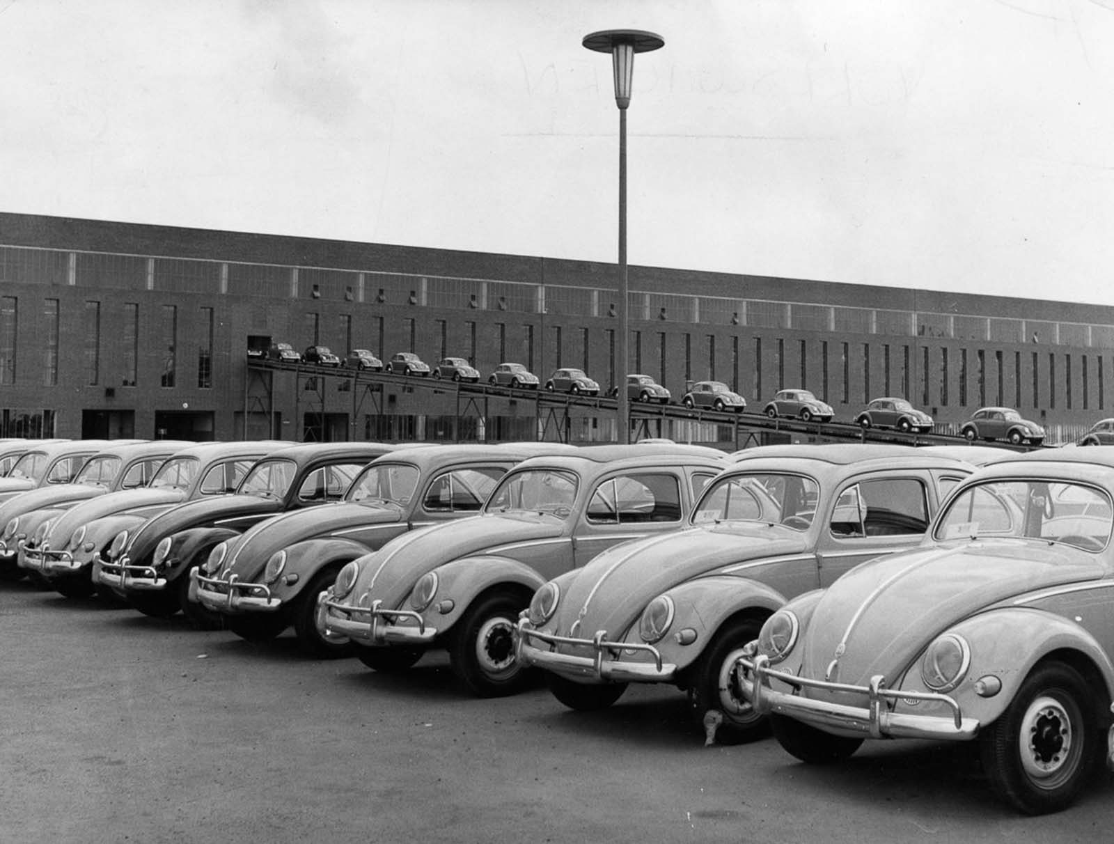 New Beetles coming out of the factory. 1956.