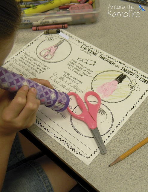 Butterfly science activity~ simulating a compound eye