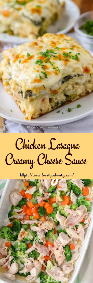 Chicken Lasagna #lasagnarecipe #dinnerorlunch