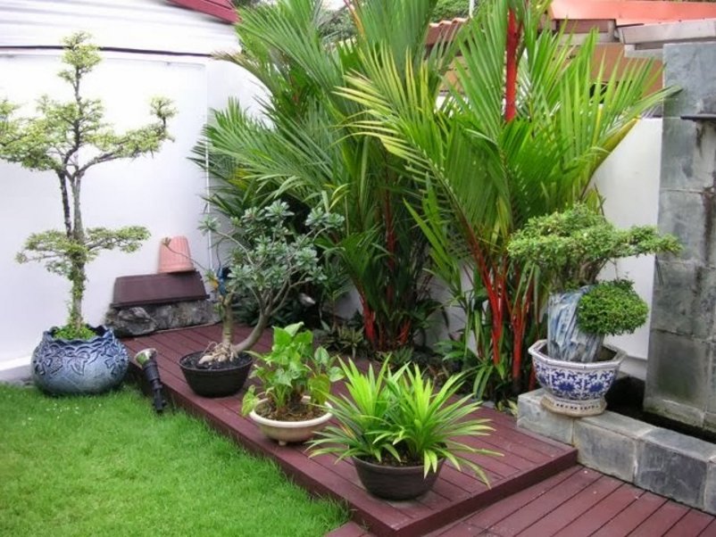 Gambar Taman Rumah Kecil : 20 Desain Taman Kecil Untuk Lahan Sempit Di