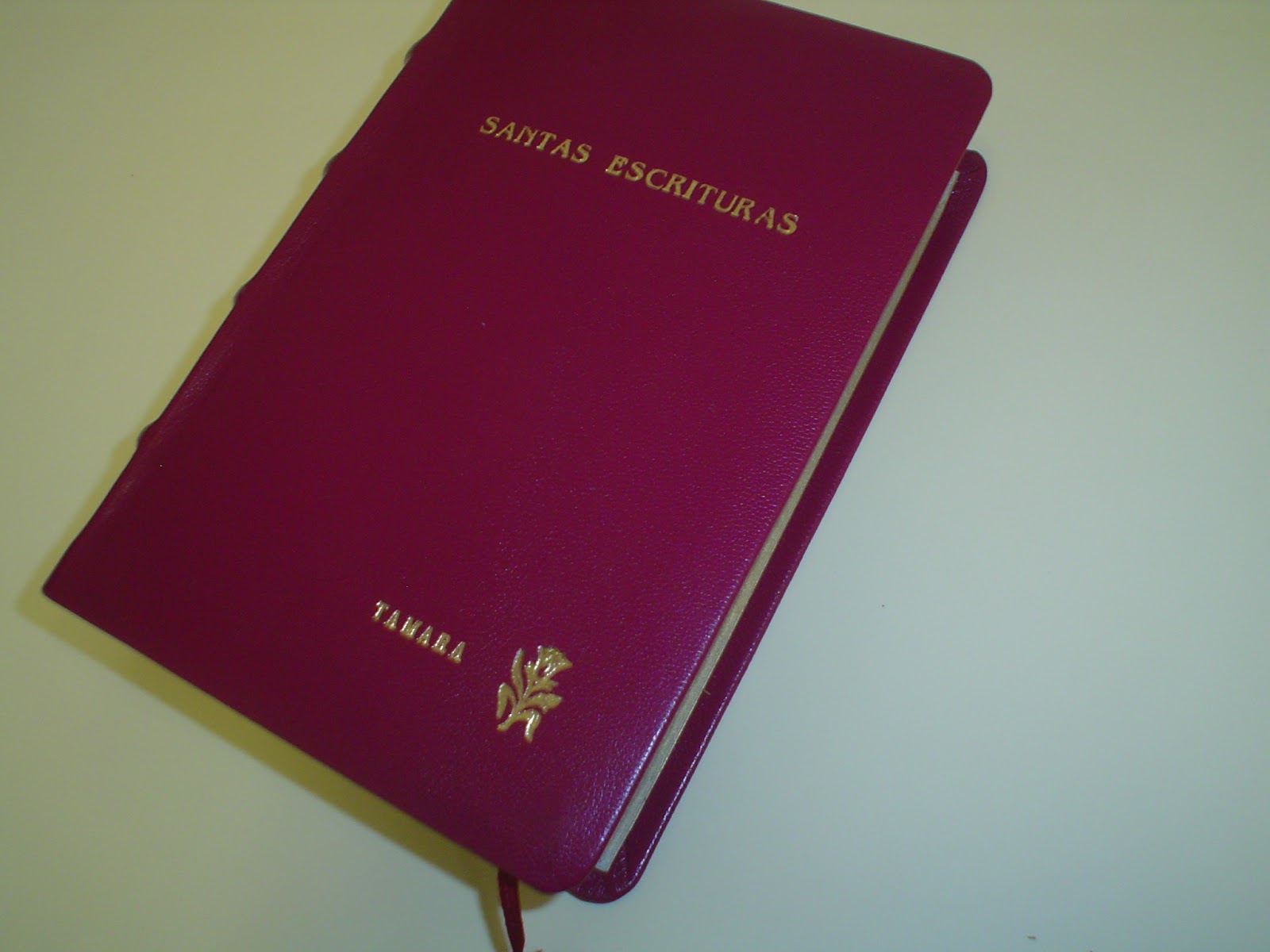 Encuadernación Casa del Artesano: ENCUADERNACIÓN DE BIBLIAS