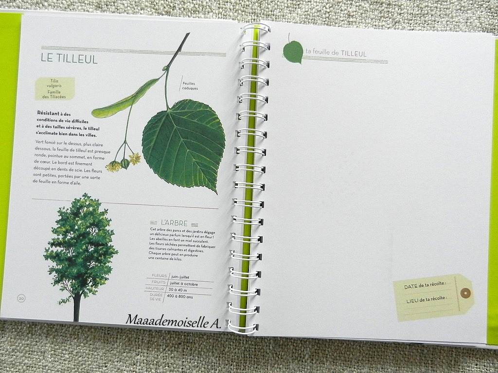 L'herbier des feuilles - Editions Milan