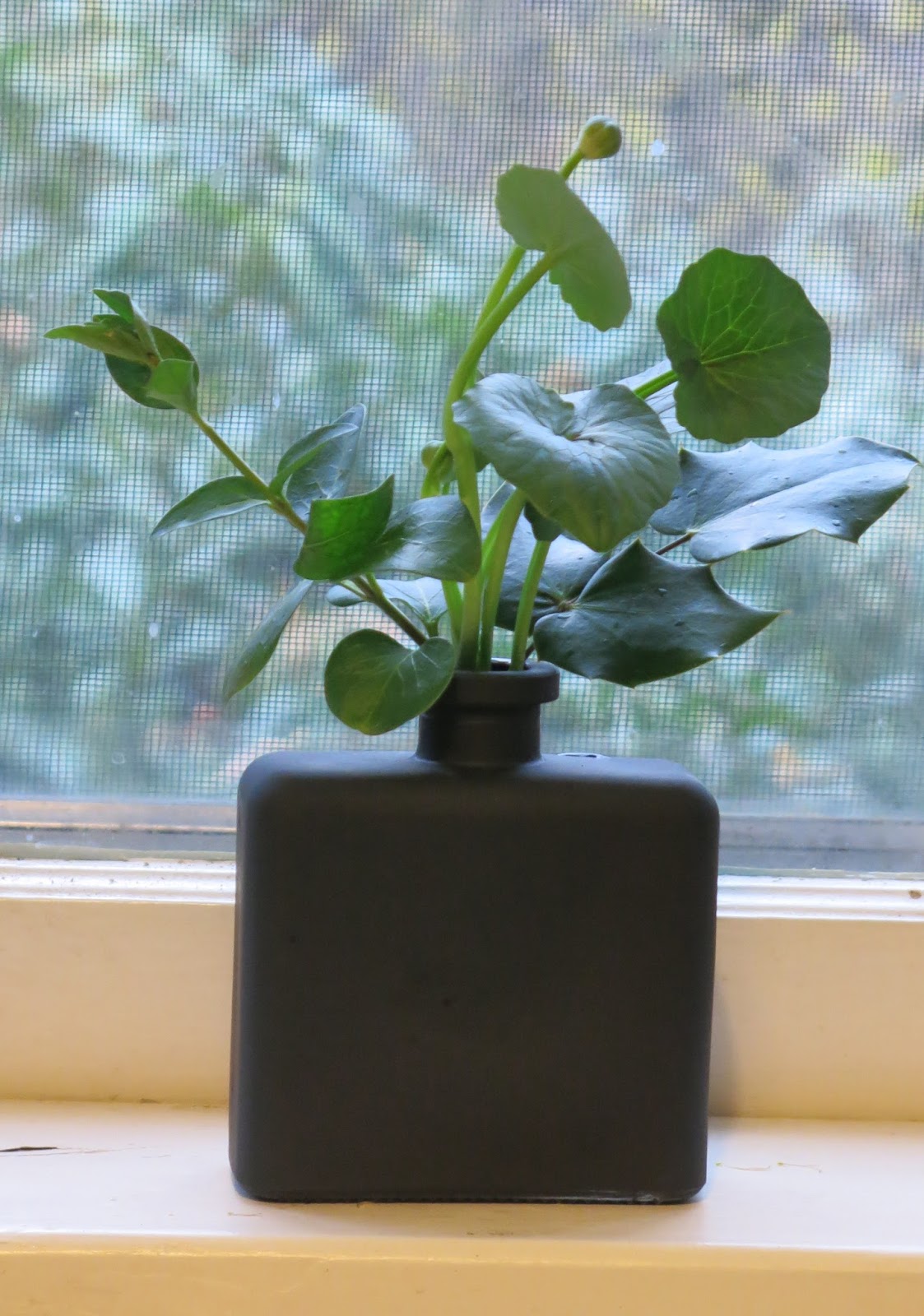 Windowsill Arranging chalk vase with and without flowers