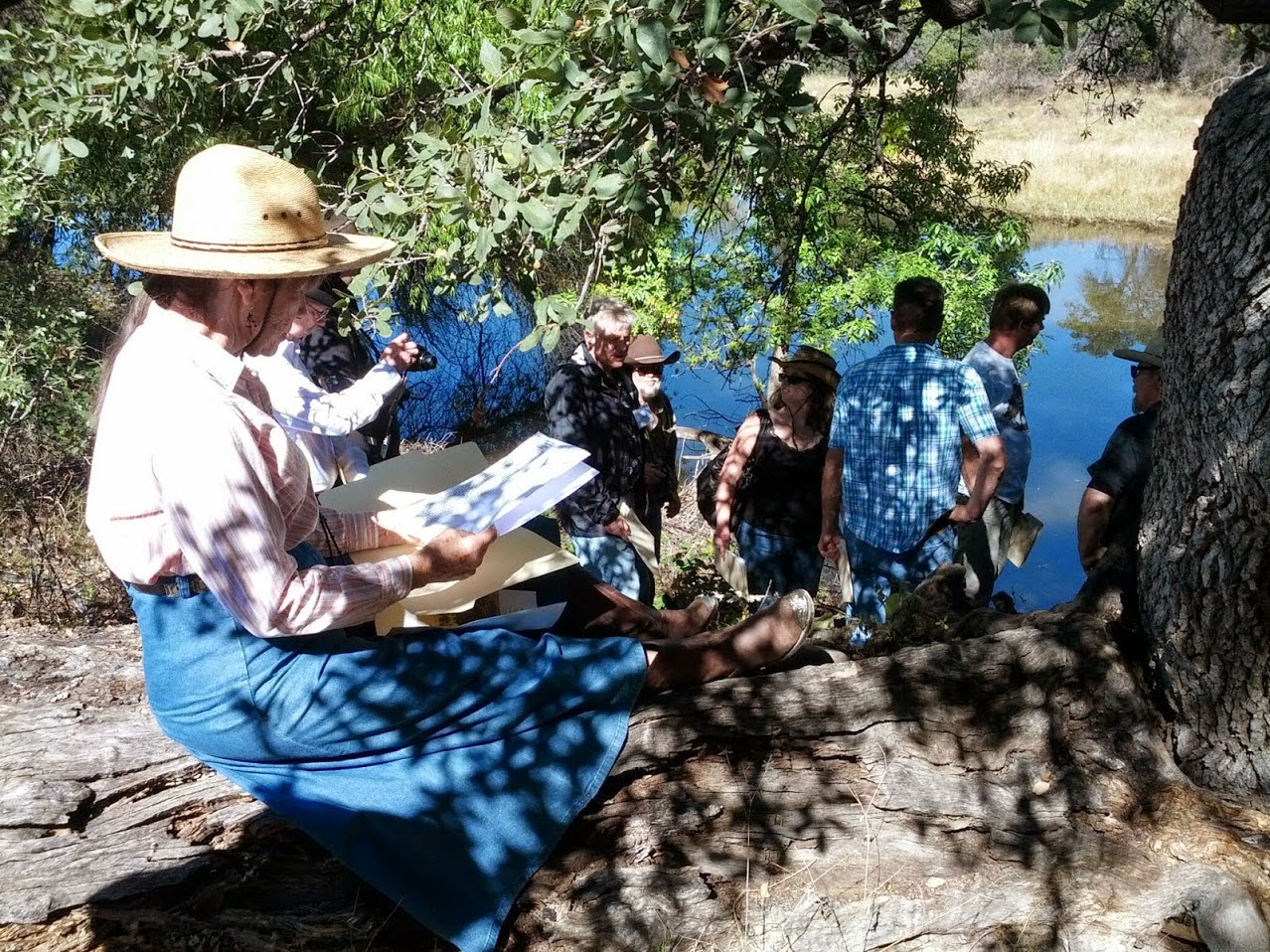 Ringo rag executive summary essay 04 picture