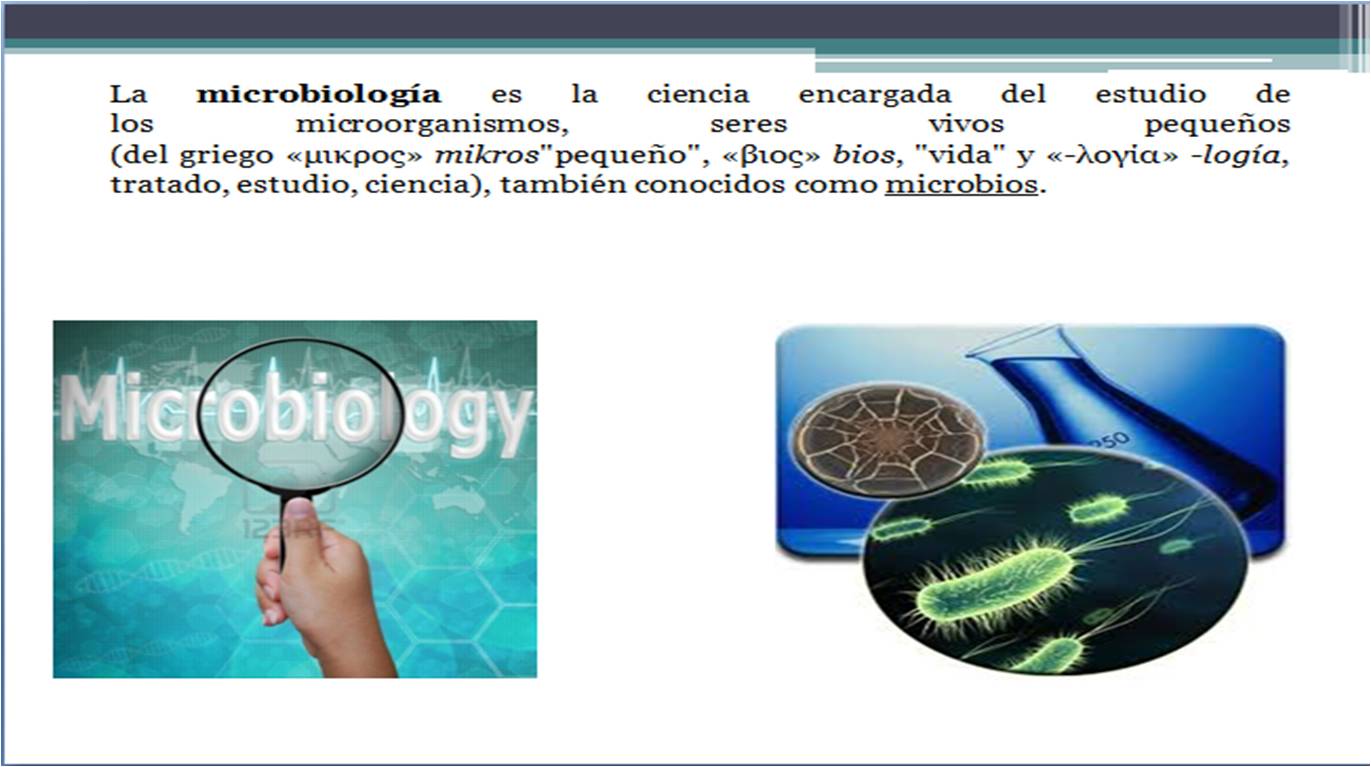 Tema 2 Bases Conceptuales De La Microbiologia Y Cirugia 1 Las Images