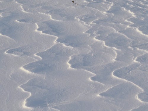 wind patterns in snow