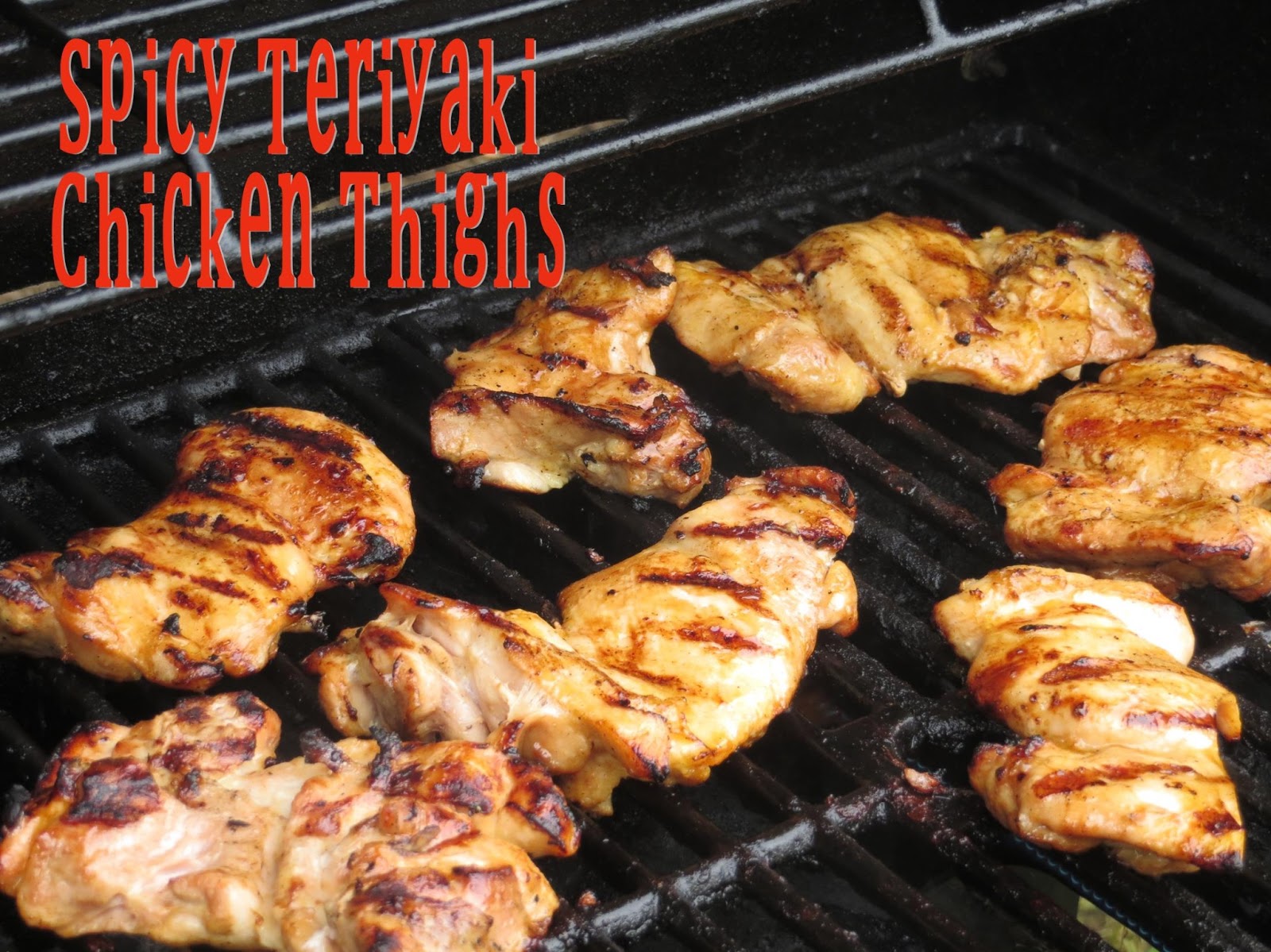 Two Magical Moms Spicy Teriyaki Chicken Thighs