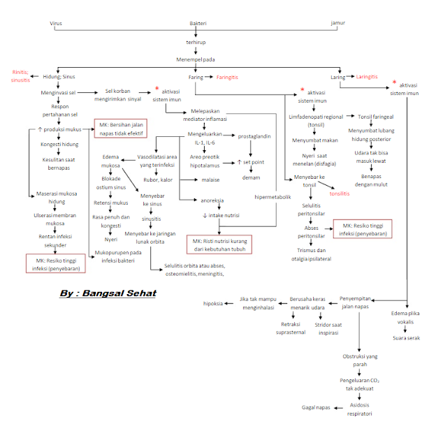 Pathway Stroke Non Hemoragik Ebook