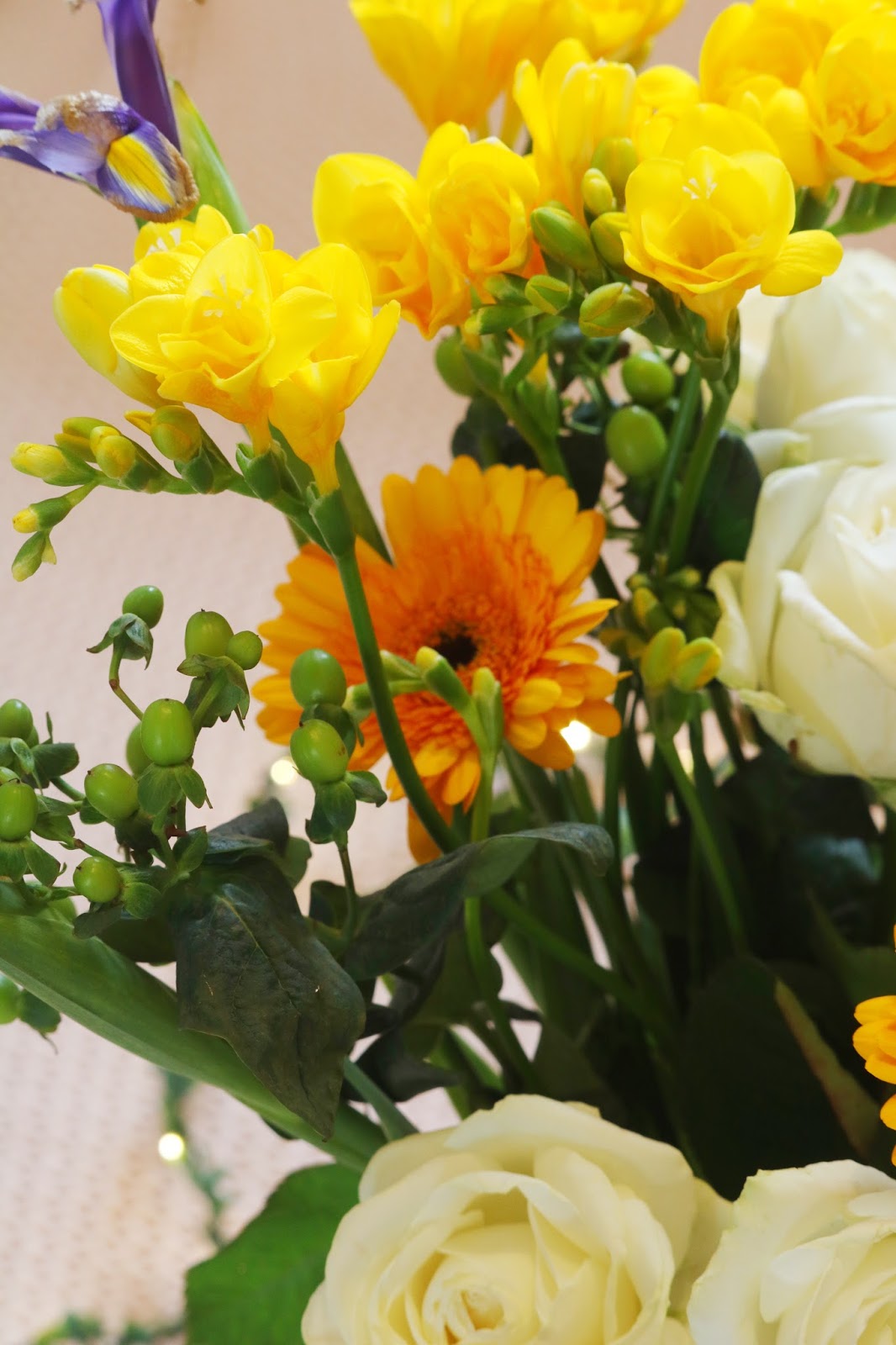 The most beautiful home flowers. Freesia The most beautiful home flowers. Freesia
