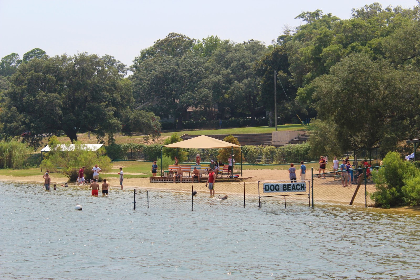 Bayview Park Our favorite community (DOG) park in Pensacola!