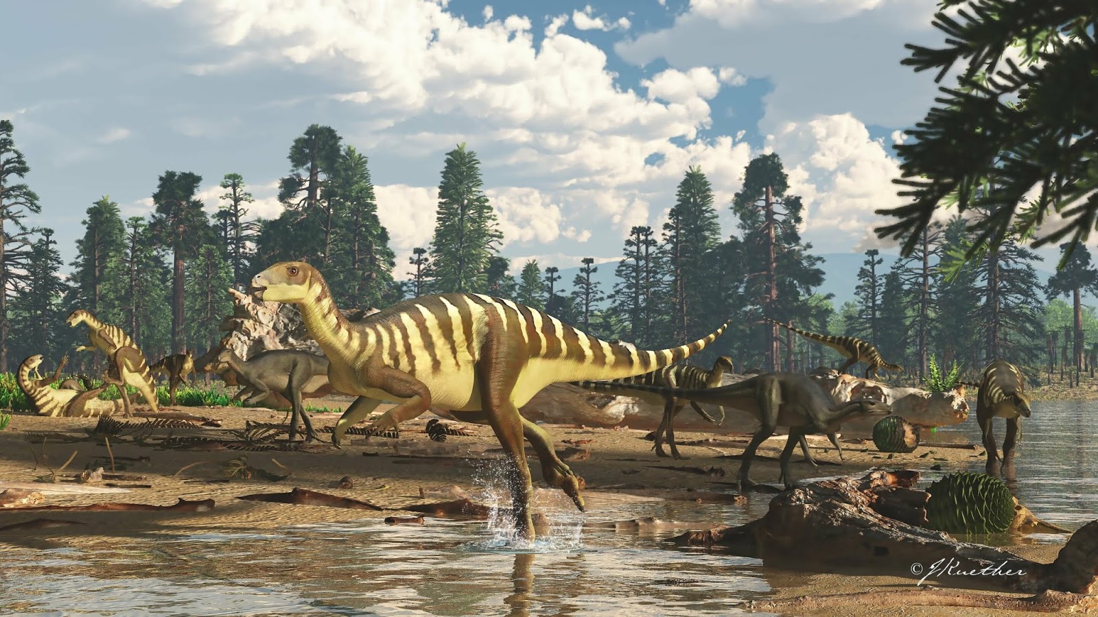 Species New to Science [Paleontology • 2019] Galleonosaurus dorisae