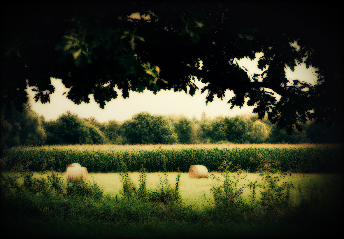 Gedichte Unter Der Laterne Ich Liebe Die Sanftmut