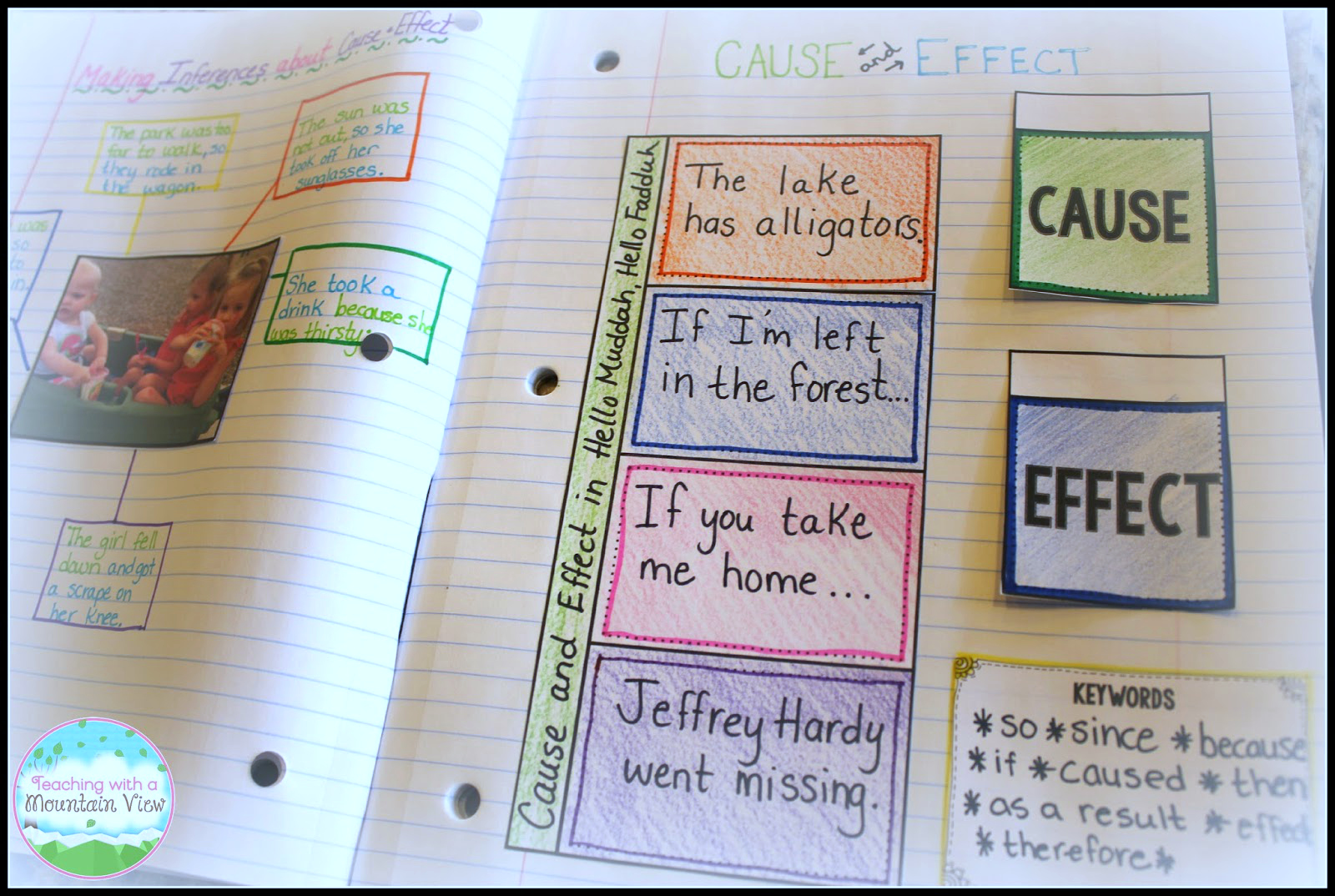 Cause And Effect Anchor Chart 5th Grade