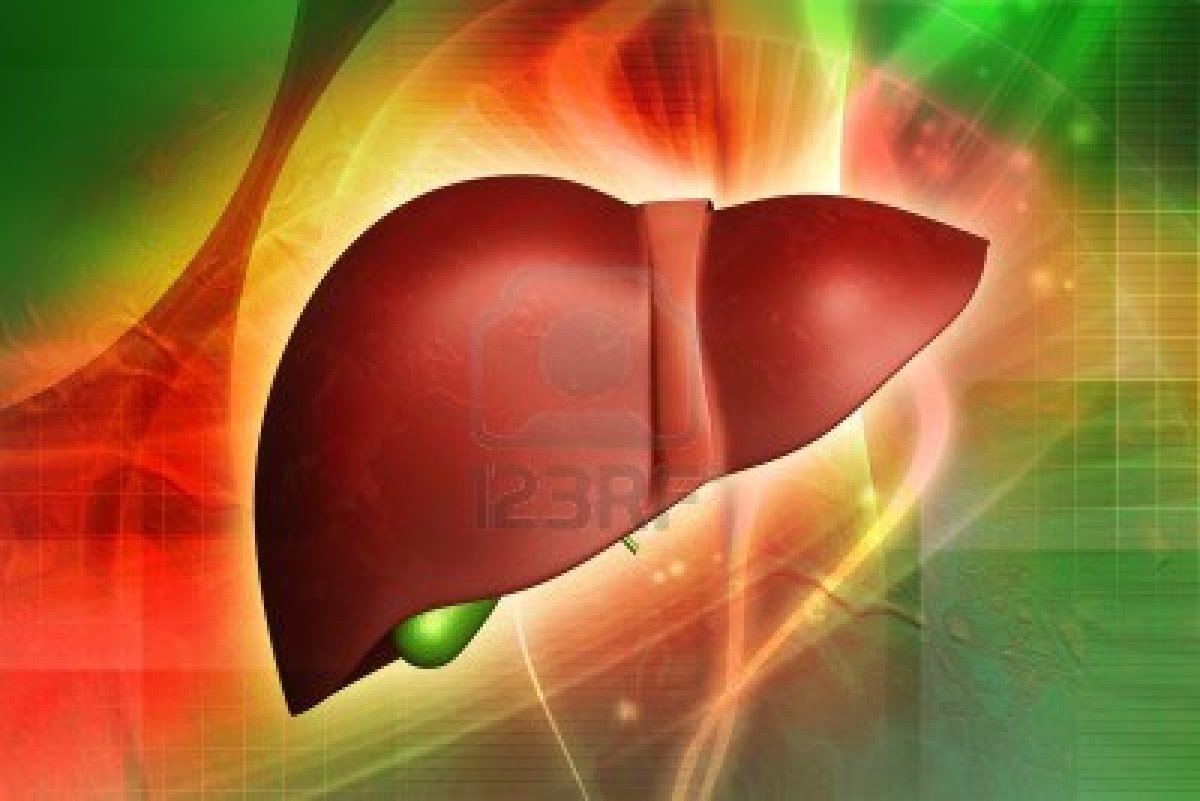 HCV New Drugs Low calorie Diet Before Liver Surgery May Reduce Blood Loss hcv-new-drugs-low-calorie-diet-before-liver-surgery-may-reduce-blood-loss
